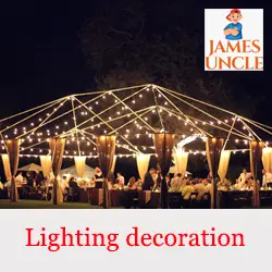 Lighting decoration Mr. Sanjoy Barman in Raiganj